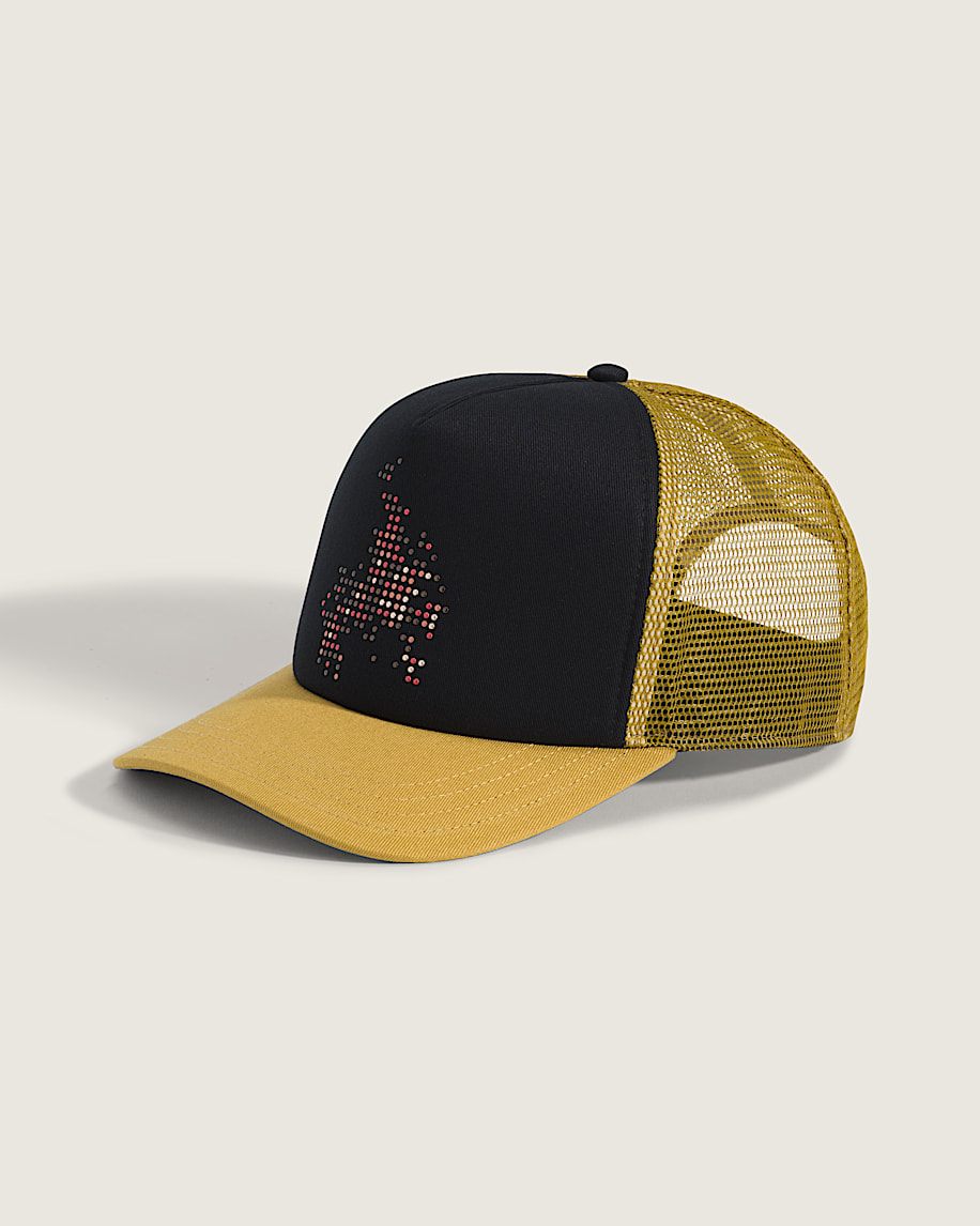 skate flame trucker-mütze