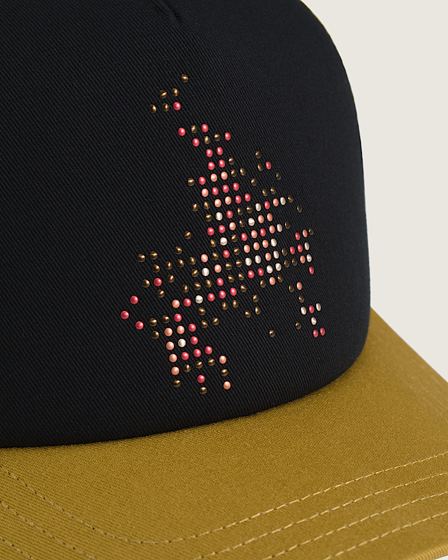 skate flame trucker-mütze