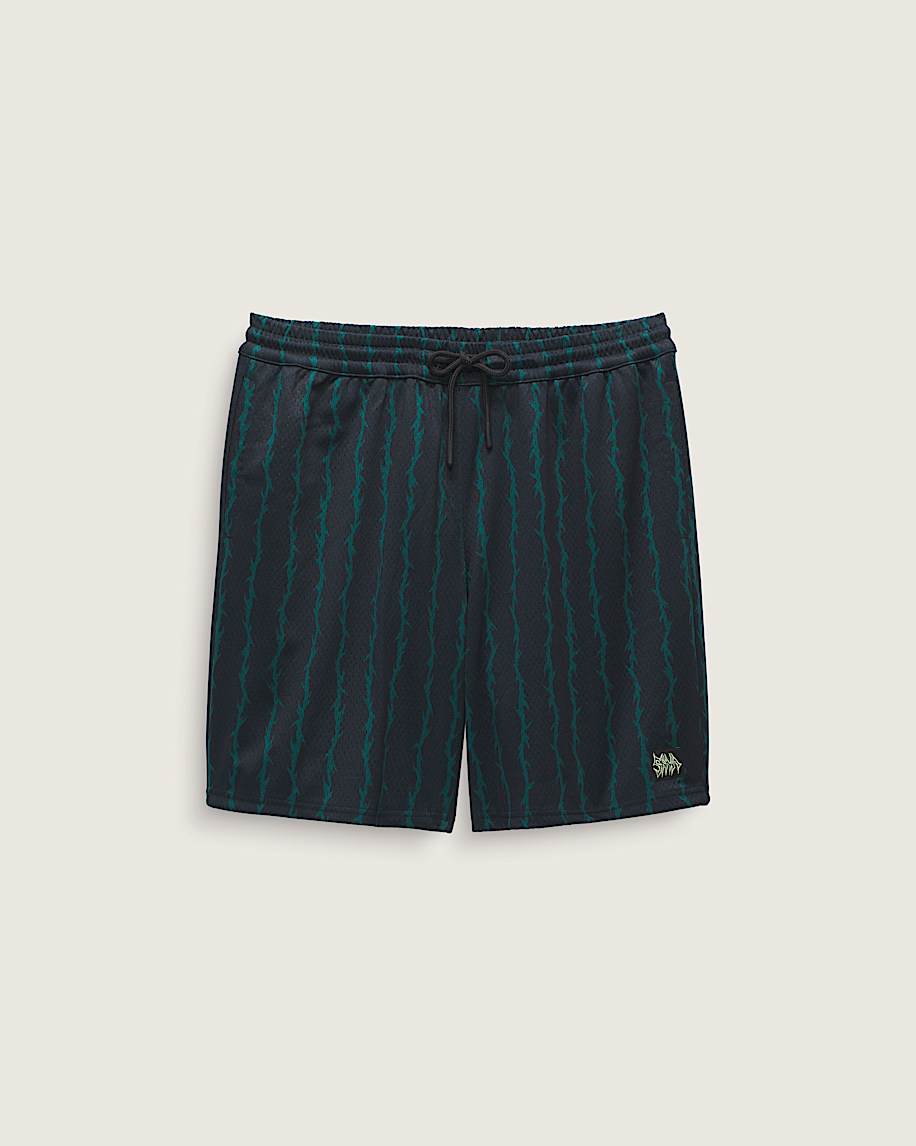 skate loose 20 sportshorts